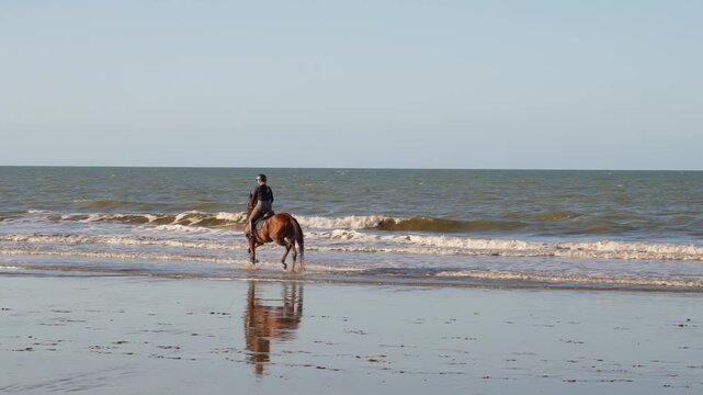 Equestrian Woman in Formal Riding Attire and Helmet Cantering Horse Along Sandy Beach