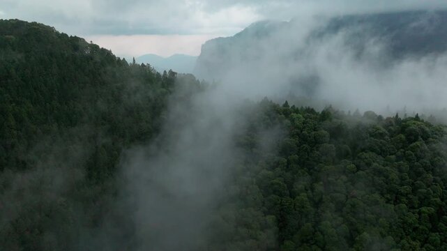Aerial view misty foggy mountain landscape with tropical rain forest