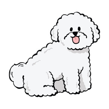 Illustration of a cute Bichon Frise dog sitting