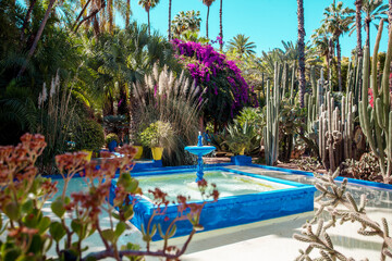 Obraz premium Majorelle Garden in Marrakech, Morocco