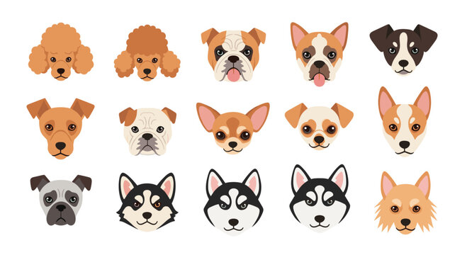 Grid of various dog breed faces including poodles, bulldogs, chihuahua, husky, and husky breeds illustrated in a flat style.