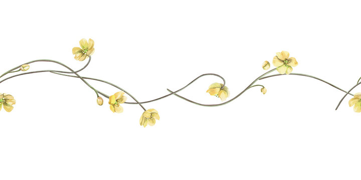 A seamless border of delicate stems of yellow forest flowers. Watercolor illustration for designing greeting cards, textiles, weddings, nature websites, and eco-themed designs.