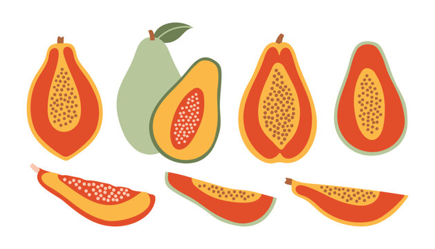 Vector set of tropical papaya fruits showing whole and sliced parts with seeds. Exotic food collection in cute hand drawn doodle style with vibrant orange and green colors on white background
