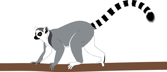 Lemur on a Branch Vector Design with Bold Striped Tail for Animal Lovers, Illustrations, and Wildlife Projects © Vector Design Hub