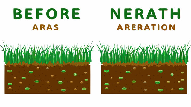 Lawn aeration comparison before and after illustration with grass and soil