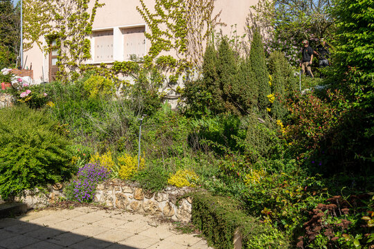Terrasse pav&eacute;e &eacute;l&eacute;gante bord&eacute;e d'un muret en pierre s&egrave;che, s'ouvrant sur un jardin foisonnant aux fleurs violettes et une fa&ccedil;ade de maison v&eacute;g&eacute;talis&eacute;e.