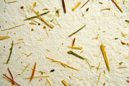 Handmade Recycled Paper with Organic Plant Textures and Fibers