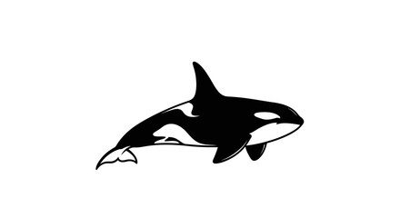 Orca Killer Whale Illustration Simple Black and White. © Muhammad
