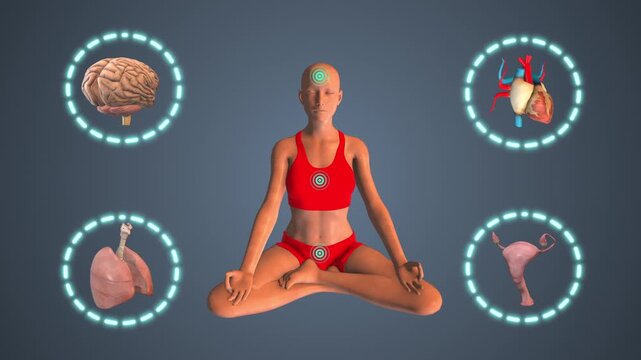 Meditation optimizes internal organ health and function