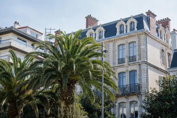 Fototapeta premium Elegant european building with classic architecture framed by palm trees in sunny coastal city street scene