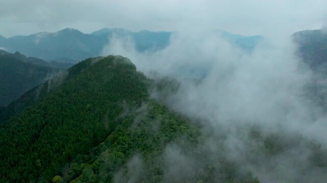Aerial view misty foggy mountain landscape with tropical rain forest