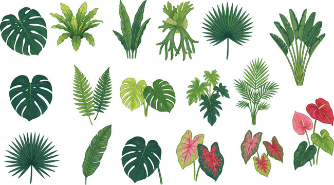 vector set of green leaves