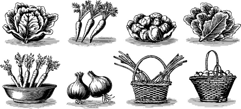 Vintage engraved cottage vegetable clipart sheet with carrots onions lettuce cabbage and baskets for rustic farm packaging label background and design