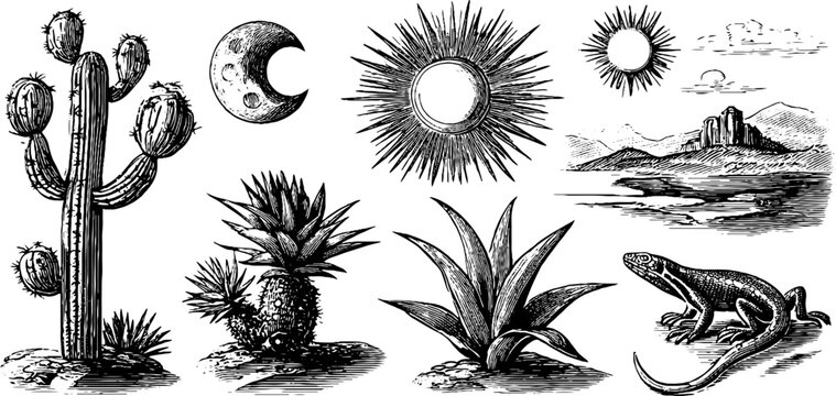 Vintage engraved desert clipart sheet with moons cacti agave lizard and sun for background poster and design elements