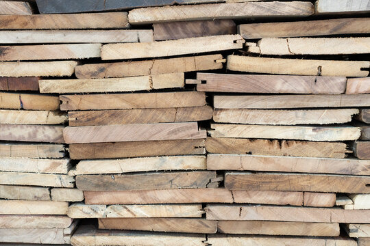 close-up tree stump or log background in the forest