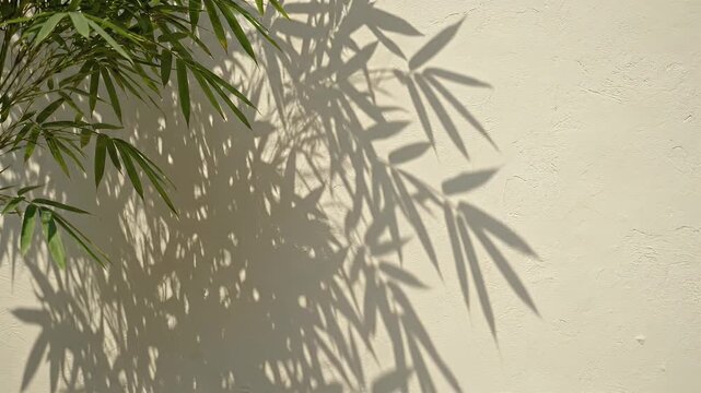 Sunlit Bamboo Leaves Casting Shadow on Beige Wall Backdrop with Organic Pattern and Tranquil Atmosphere for Relaxation