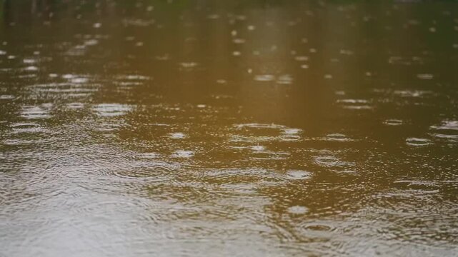 Rain falling on water surface creating ripples and circular patterns with droplets, Closeup rain drops hitting puddle with dynamic ripple texture and wet surface 4k
