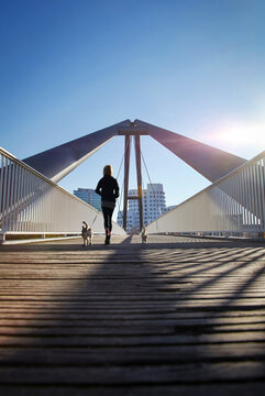 D&uuml;sseldorf, Br&uuml;cke im Medienhafen