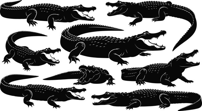 Black alligator silhouettes, crocodile vector illustrations, reptile poses, aggressive jaws, wildlife clipart, animal design, predator artwork, educational graphics, nature icons