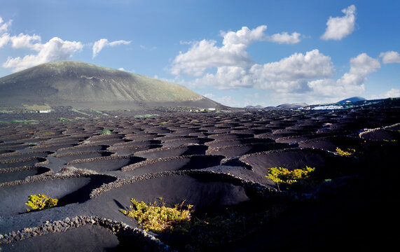 Lanzarote, La Geria