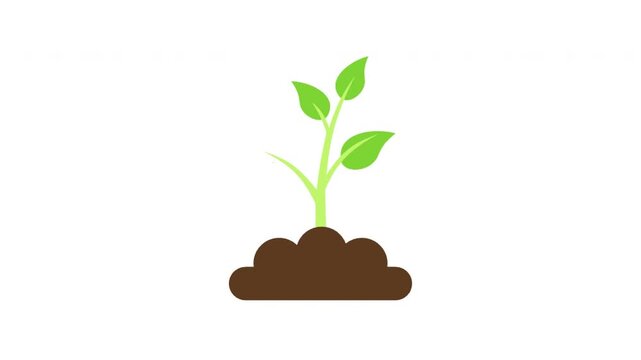 Minimalist 2D Animation of a Small Green Plant Sprouting and Growing from Soil