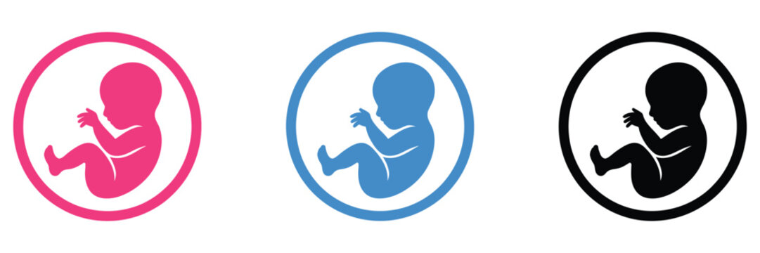 Fetal development icon, pink blue black variants, pregnancy growth symbols, prenatal baby stages concept, medical vector illustration