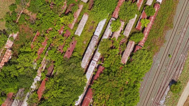Aerial top down view of old rusty train wagons abandoned on overgrown tracks 
