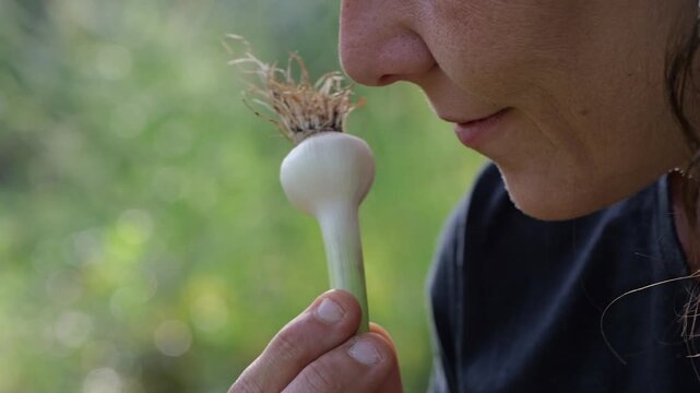 Close-up of a woman smelling a fresh organic green onion or spring garlic bulb outdoors, connection to nature and healthy eating concept.
