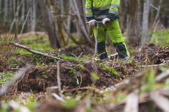 Forest worker in high-visibility clothing using a planting tool to plant tree seedlings in a forest clearing for a reforestation project