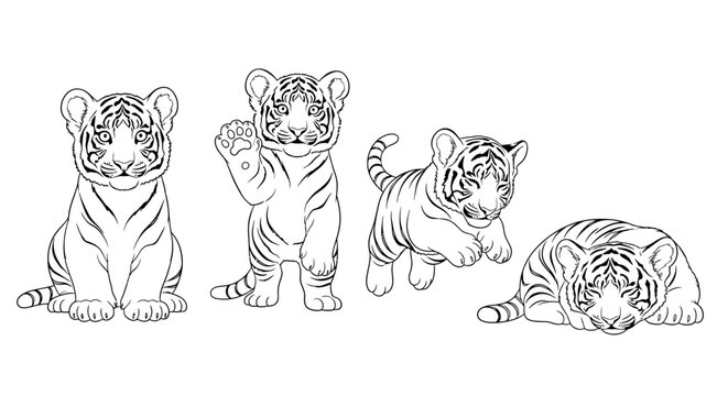 Four tiger cubs in various poses black and white line art illustration