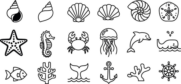 Collection of black and white line depicting marine life and nautical seashell conch scallop nautilus