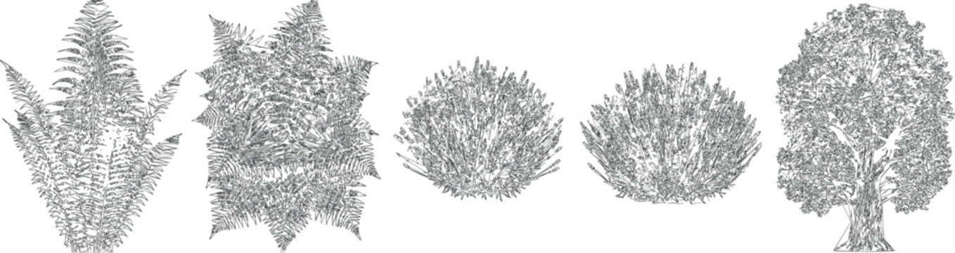 Shady Canopy Tree Draw Symbols for Sustainable Urban CAD and Architectural Drawings