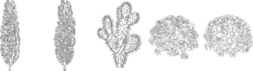 Cactus and Desert Succulent Tree Draw Vector Set for Arid CAD Architectural Drawings © AfsanaBinteSalam