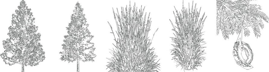 Tall Meadow Grass Draw Vector Set for Softscape CAD Architectural Drawings © AfsanaBinteSalam
