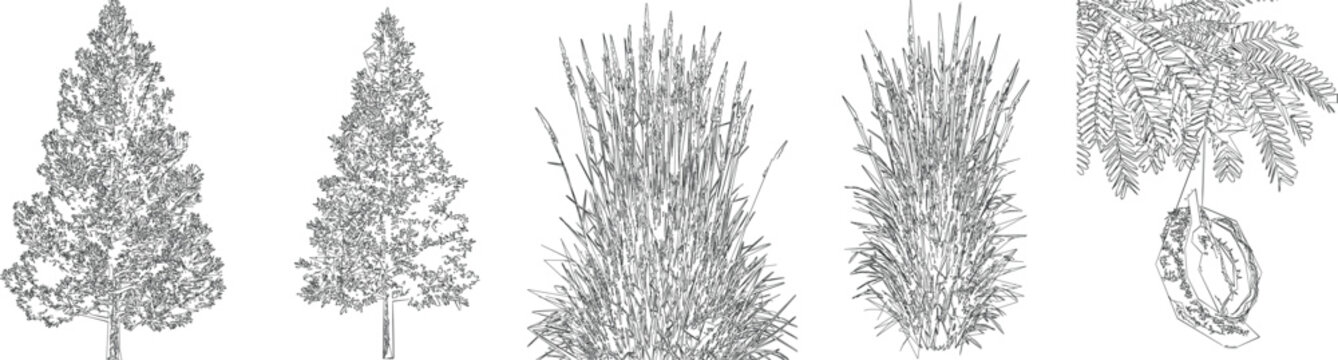 Tall Meadow Grass Draw Vector Set for Softscape CAD Architectural Drawings
