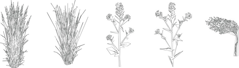 Naklejka premium Intricate Herb and Botanical Tree Draw Vector Set for Detailed CAD Architectural Drawings