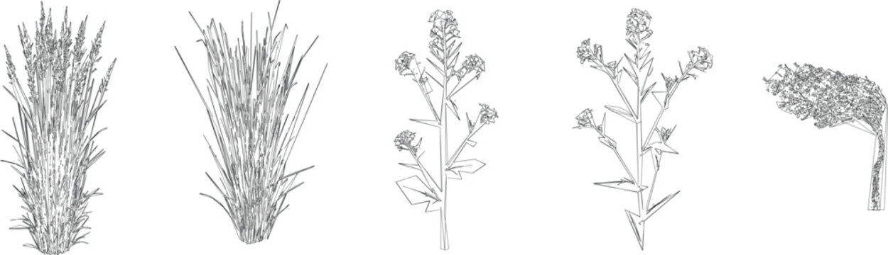 Intricate Herb and Botanical Tree Draw Vector Set for Detailed CAD Architectural Drawings