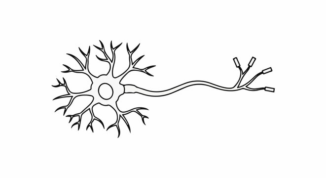 Stylized black and white drawing of a neuron with a cell body and branching dendrites