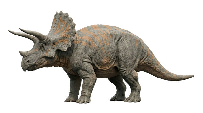 Full-body Triceratops dinosaur with detailed scales, transparent background cutout.