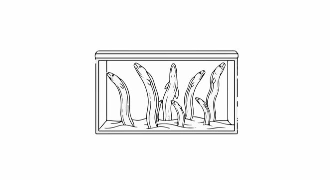 Several eels emerge from sand within a tank, showing curious heads