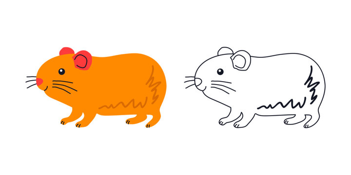 Colorful Cartoon Cavy and Black Outline Version. Hand Drawn Small Pet Rodent Character.