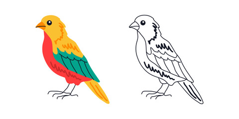 Fototapeta premium Colorful and Black Outline Versions. Songbird Canary. Isolated on White Background. Hand Drawn Animal Illustration for Kids Design