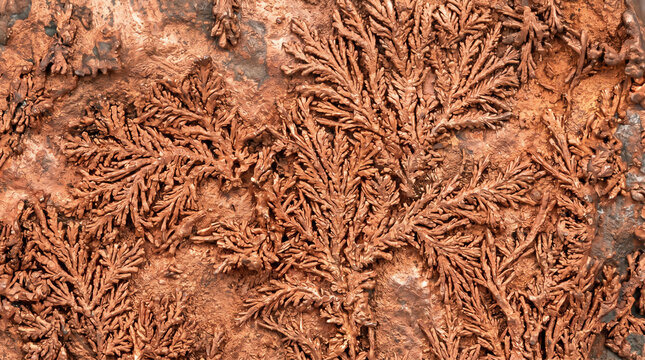 Natural Native Copper Specimen with Dendritic Branching Growth