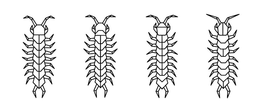 centipede , Geometric Origami line art vector set