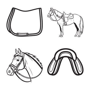 Horse saddle and horse tack illustrations