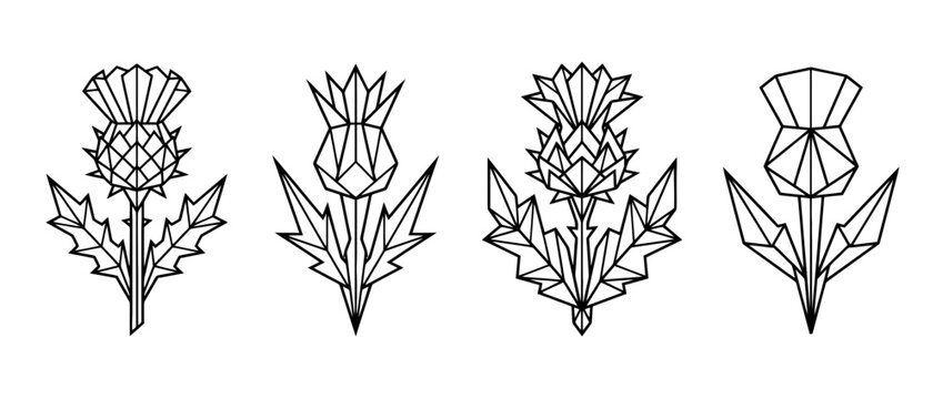 thistle , Geometric Origami line art vector set