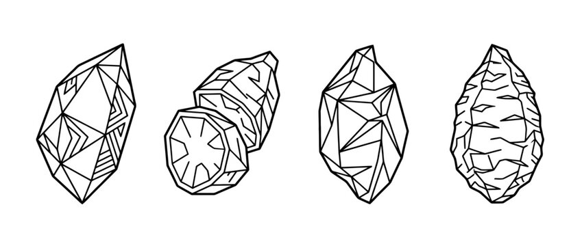 yam , Geometric Origami line art vector set