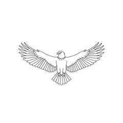 Obraz premium Bald eagle with wings spread minimalist black and white line art illustration