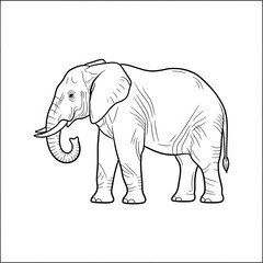 Obraz premium African Elephant Side Profile Line Art Drawing