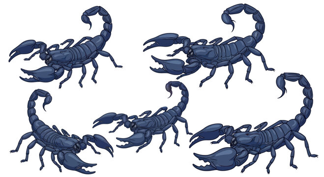 Scorpions Danger Concept - Multiple Dark Blue Arachnids on White Background